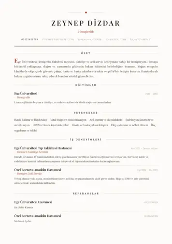  cv indir